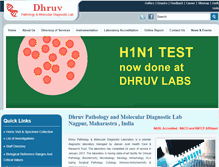 Tablet Screenshot of dhruvlabs.com